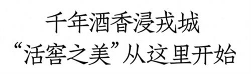 《TA说：活窖之美》第二季正式上线，看“中国酒王”如何成就活态浓香？