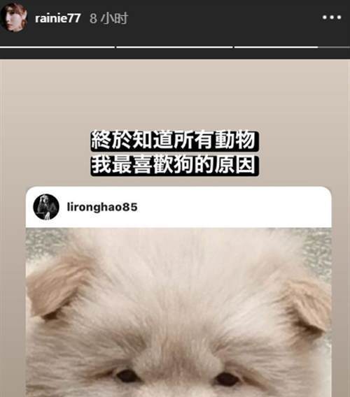 李荣浩自嘲撞脸松狮犬 杨丞琳称这是自己爱狗的原因