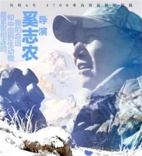 电影《雪豹和她的朋友们》发布导演特辑