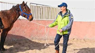 一句承诺换五百个岗位《战狼》之后吴京骏马计划