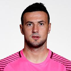 丹尼埃尔·苏巴西奇