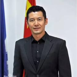 杨晨