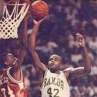 艾里克斯·霍高