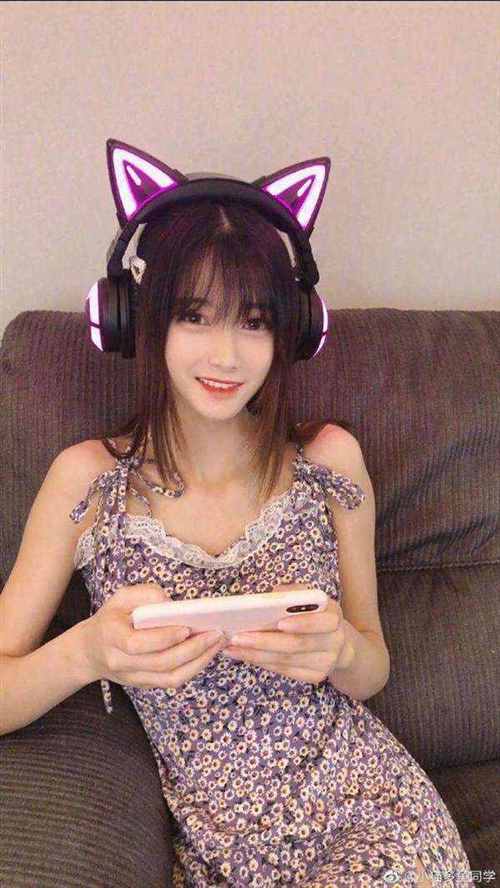 小猫多鱼