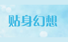 贴身幻想