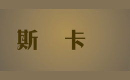 斯媞卡婼