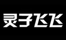 灵子飞飞