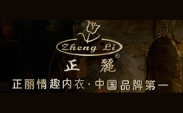 正丽情趣内衣