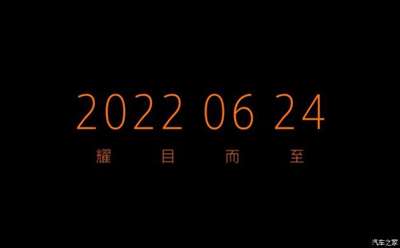 6月24日上市 坦克300新车型更多预告图