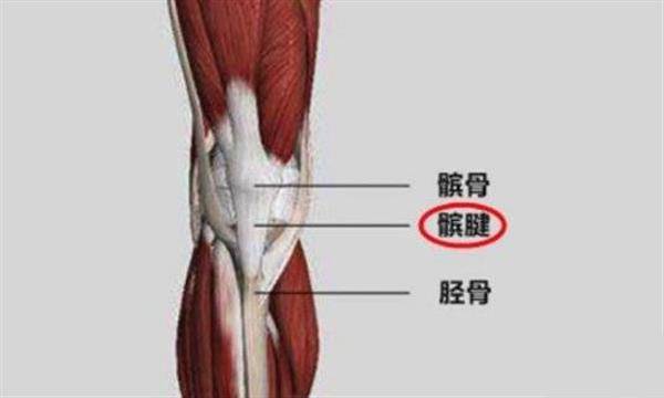 记者：阿扎尔患膑腱炎，缺席本轮西甲