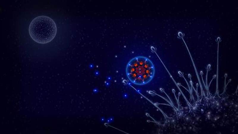 微生物世界:细胞生存