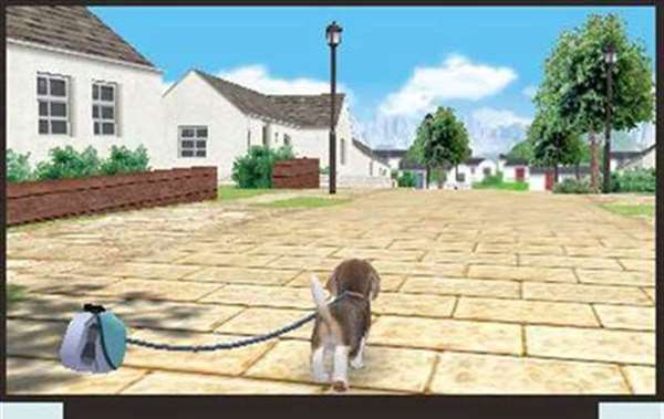 任天猫狗法国斗牛犬与新伙伴