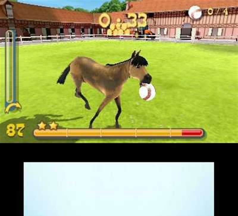 驯马场3D