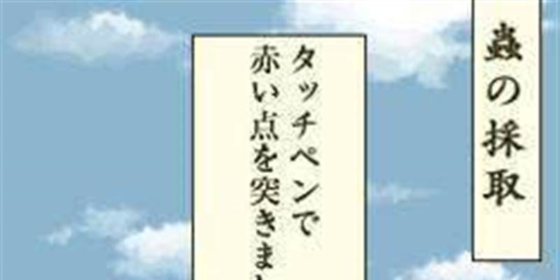 虫师天降之里