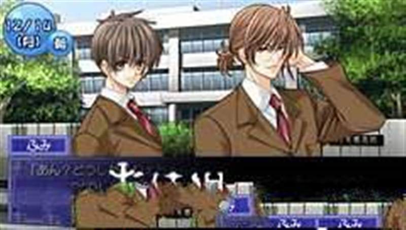 小小助手携带版