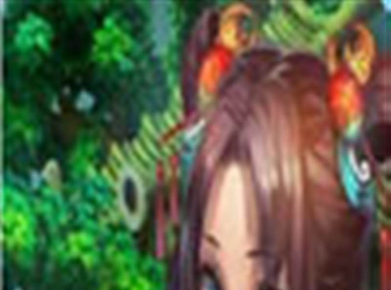 梦幻飞仙