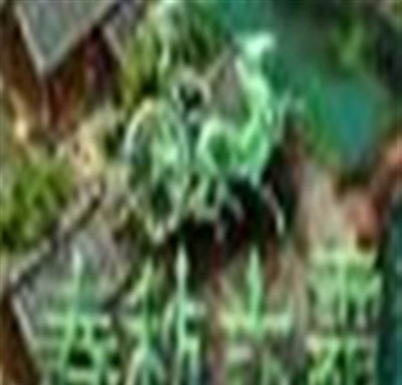 春秋六霸