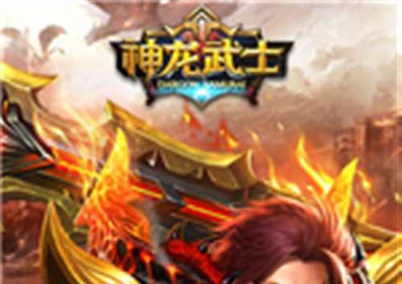 神龙武士