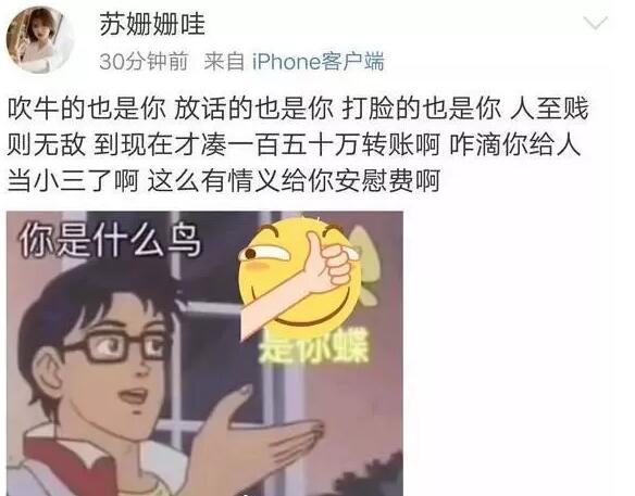 神豪凡哥豪刷后，王小源站位苏珊珊，沈曼得知开专场大哭